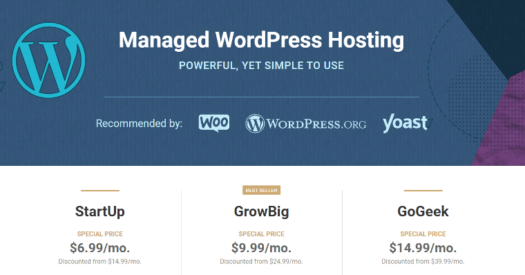 wordpress hosting